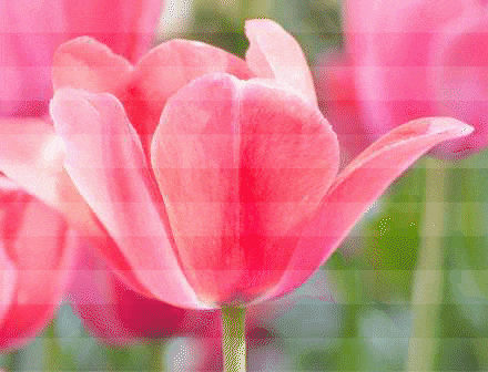 pantalla LED interior