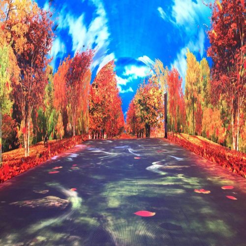 paneles de video LED