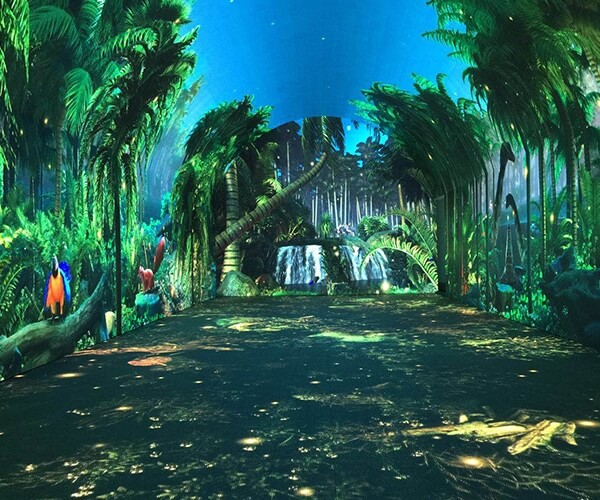 caracter&iacute;stica